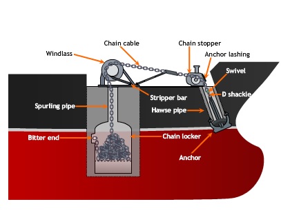 anchoring terms