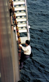 pilot boarding