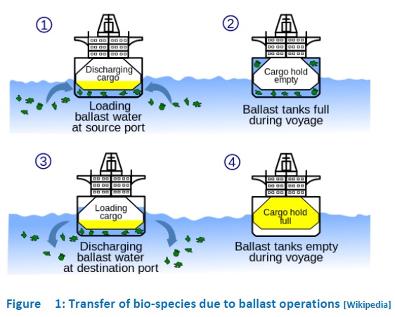 transfer of bio species due ballast operations